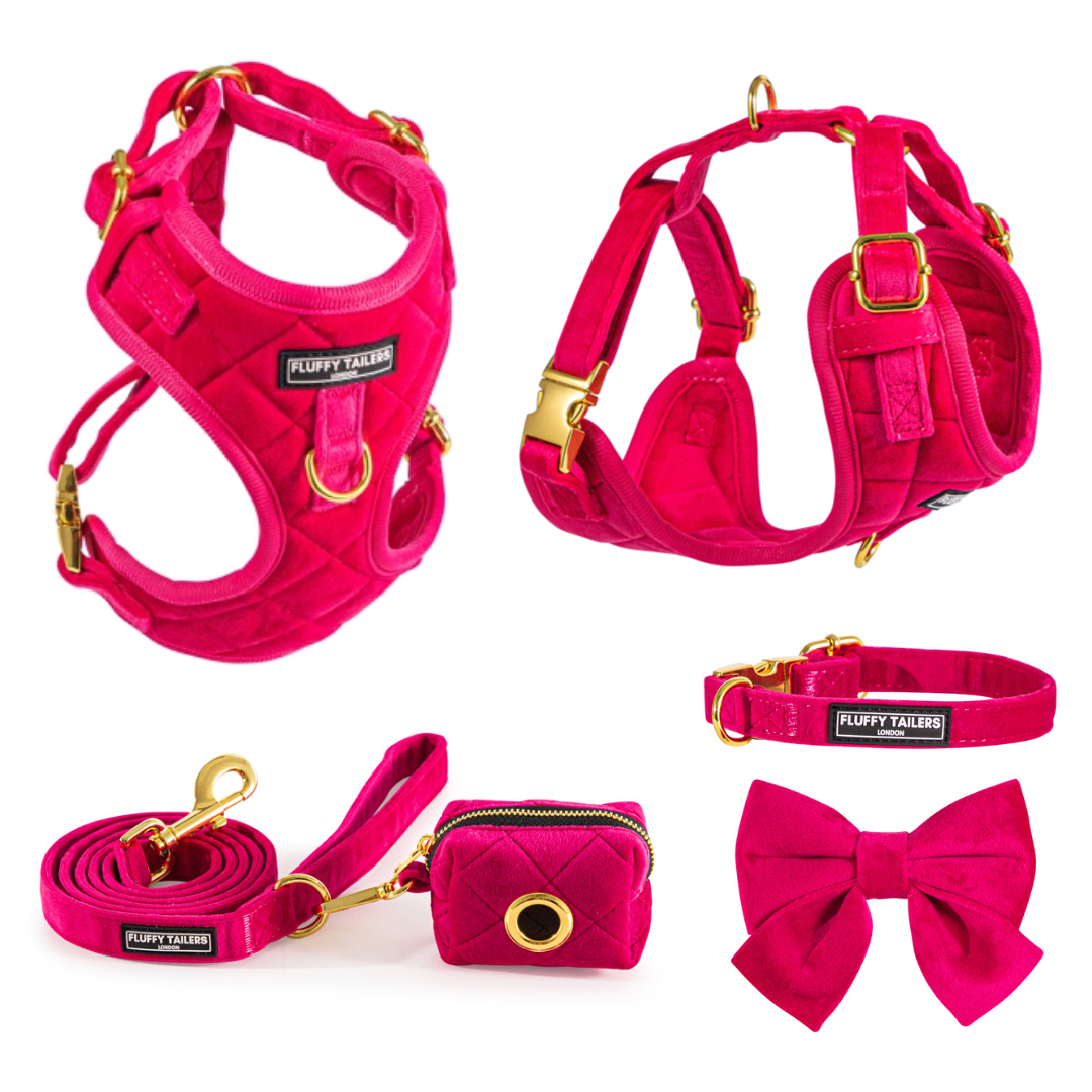 Paws & Ru  Dog Accessories - Harnesses, Collars, Leads & Poo Bags