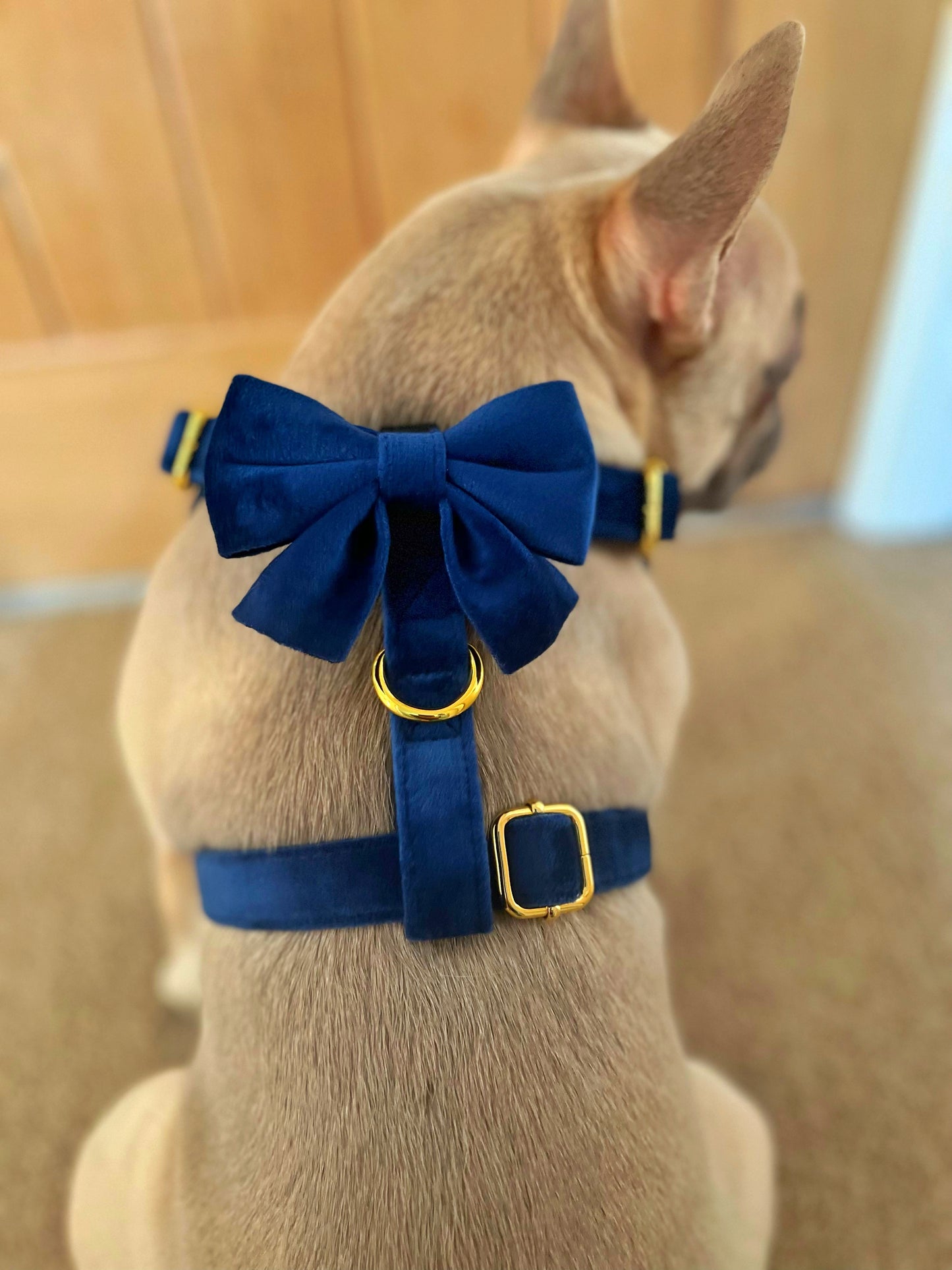 Royal Velvet Collection- Dog Harness, Collar, Bow Tie, Leash and Bag Holder