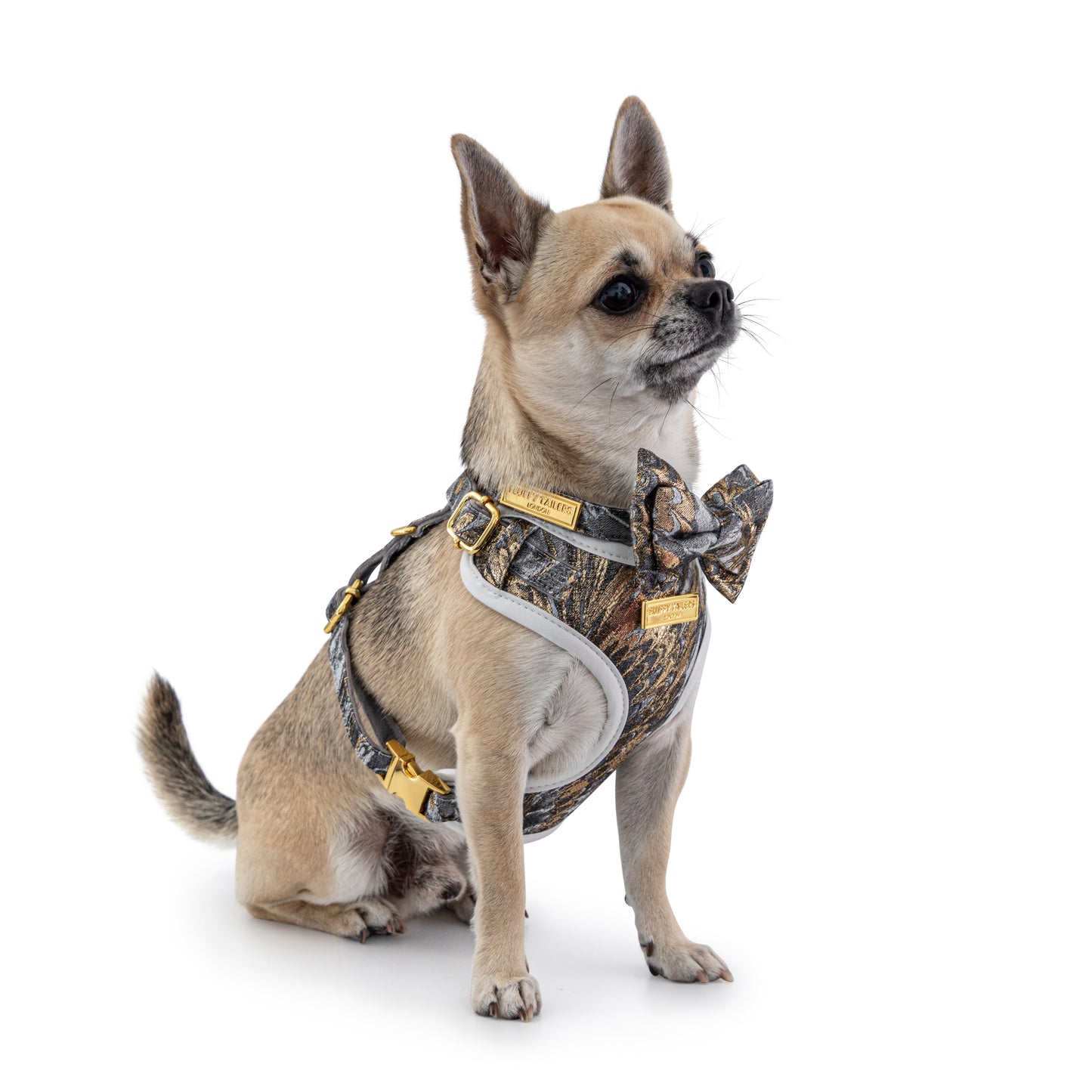 Luxury Occasion Harness