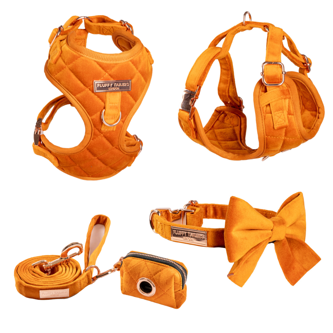 Elegant Orange Velvet Collection- Dog Harness, Collar, Bow Tie, Lead and Poop Bag Holder