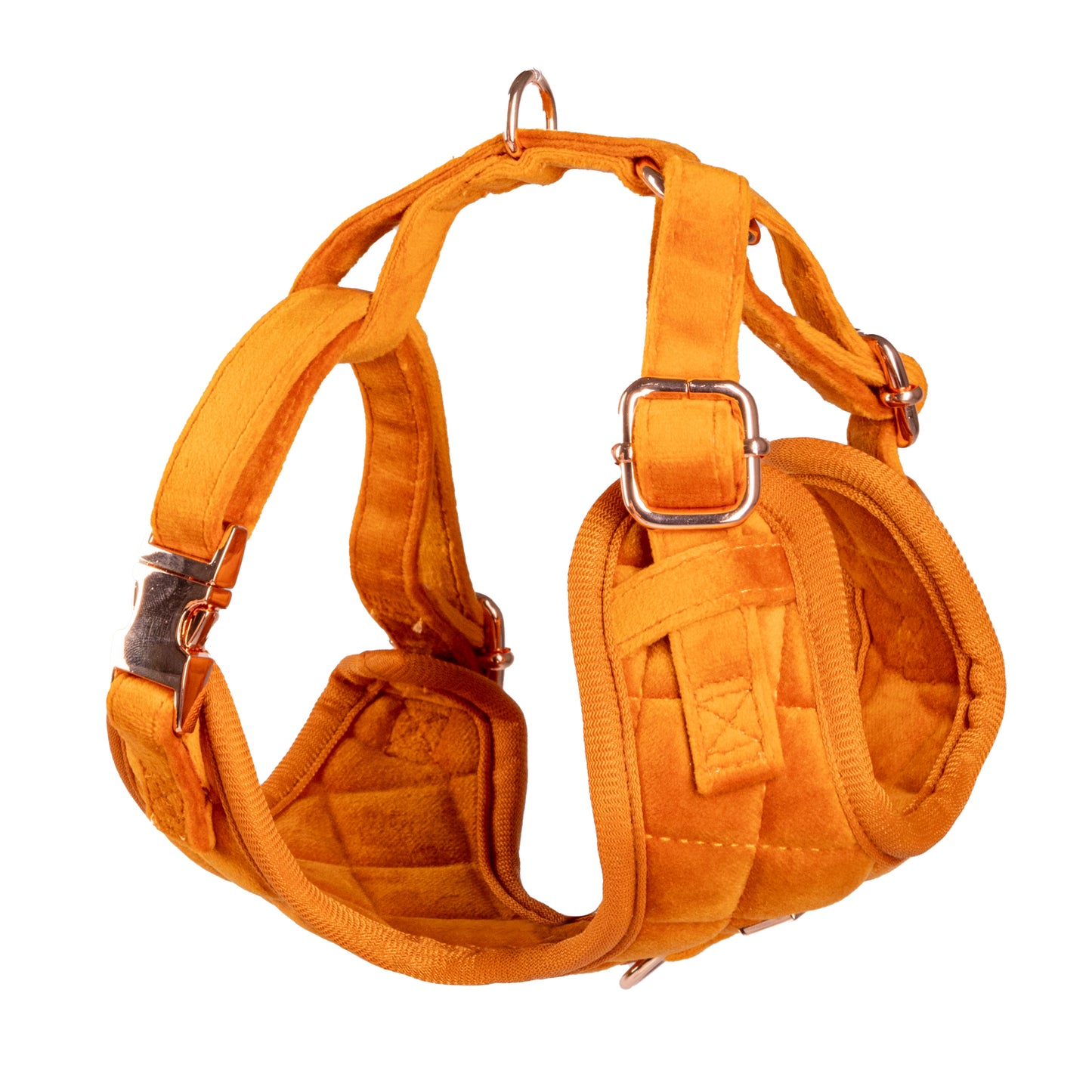 Elegant Orange Velvet Harness