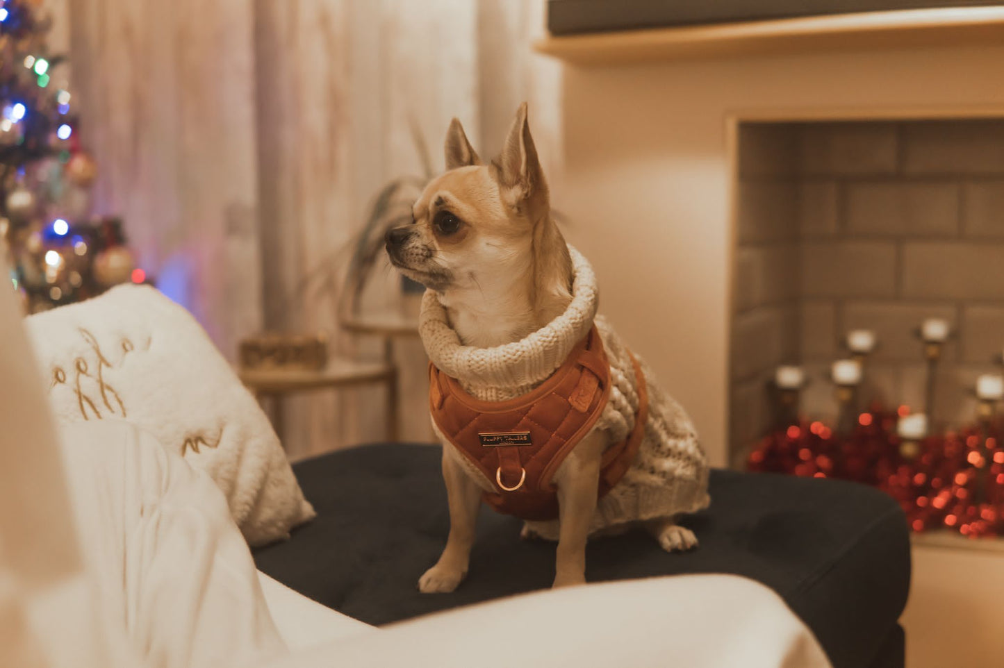 Elegant Orange Velvet Harness